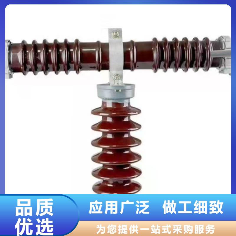 高压熔断器避雷器出货快经久耐用