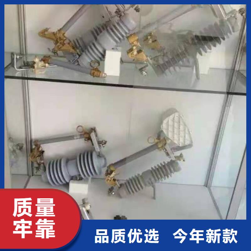 【跌落式熔断器高压氧化锌避雷器可定制有保障】专注质量