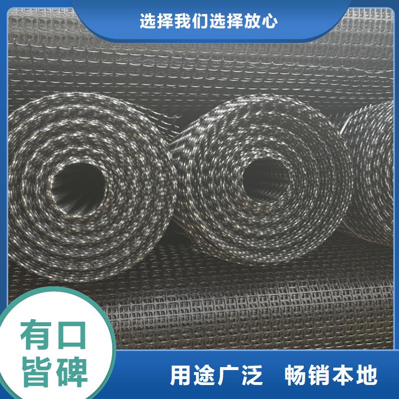 【塑料土工格栅膨润土防水垫现货批发】本地货源