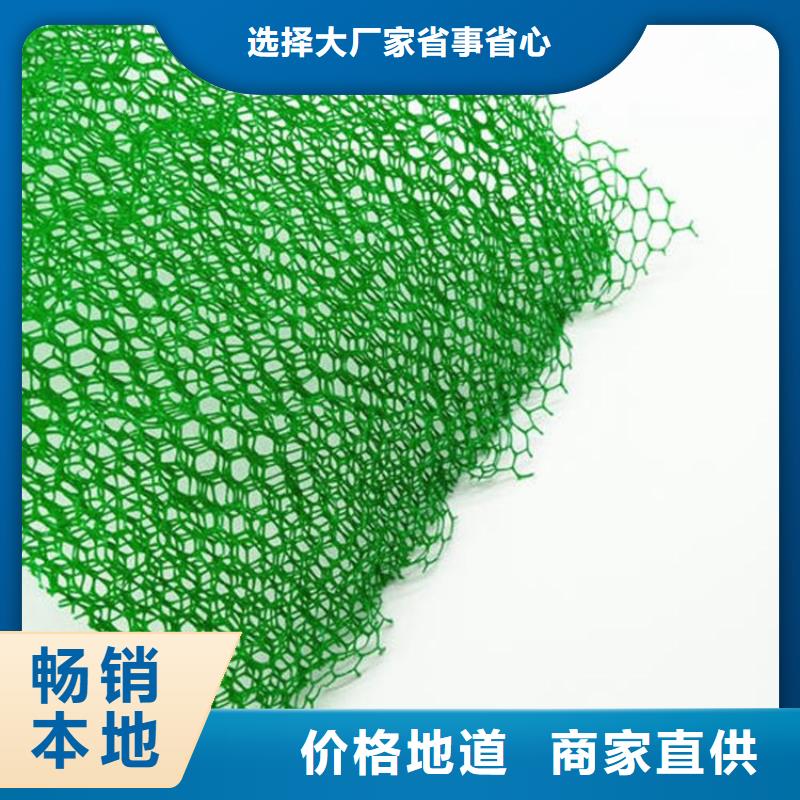 【三维植被网设备齐全支持定制】同城品牌