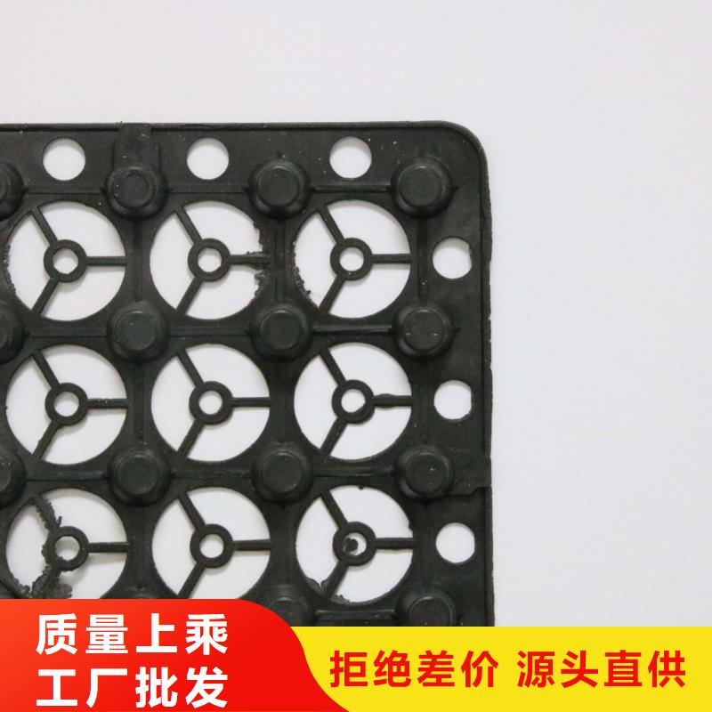 蓄排水板水土保护毯专心专注专业按需定制