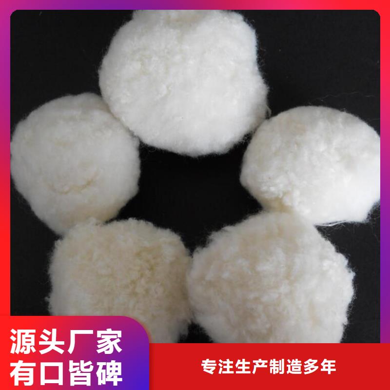 纤维球-鲍尔环好品质用的放心本地生产厂家