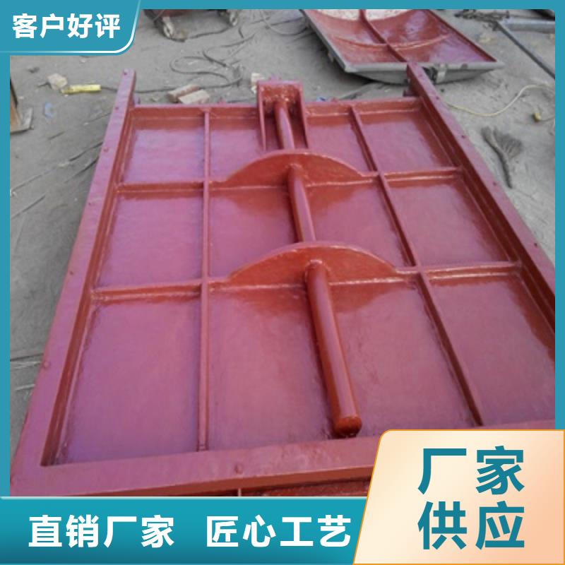 双向止水闸门支持定制同城服务商