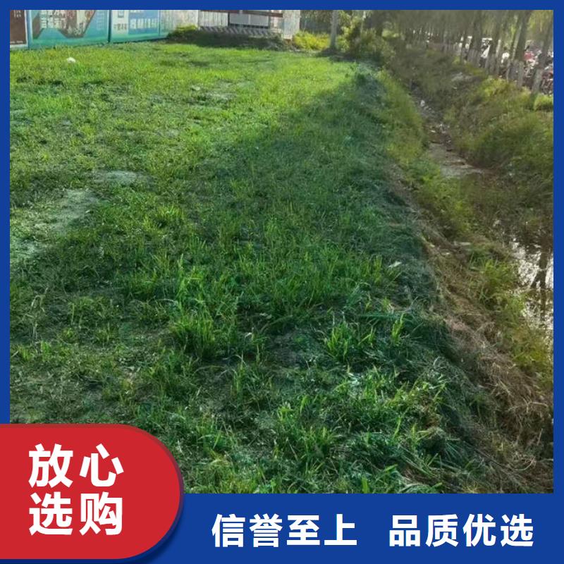 铁路抑尘剂现货直供生产经验丰富