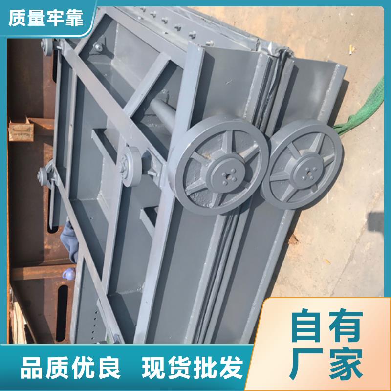 赤峰供应批发潜孔式平面钢闸门-放心