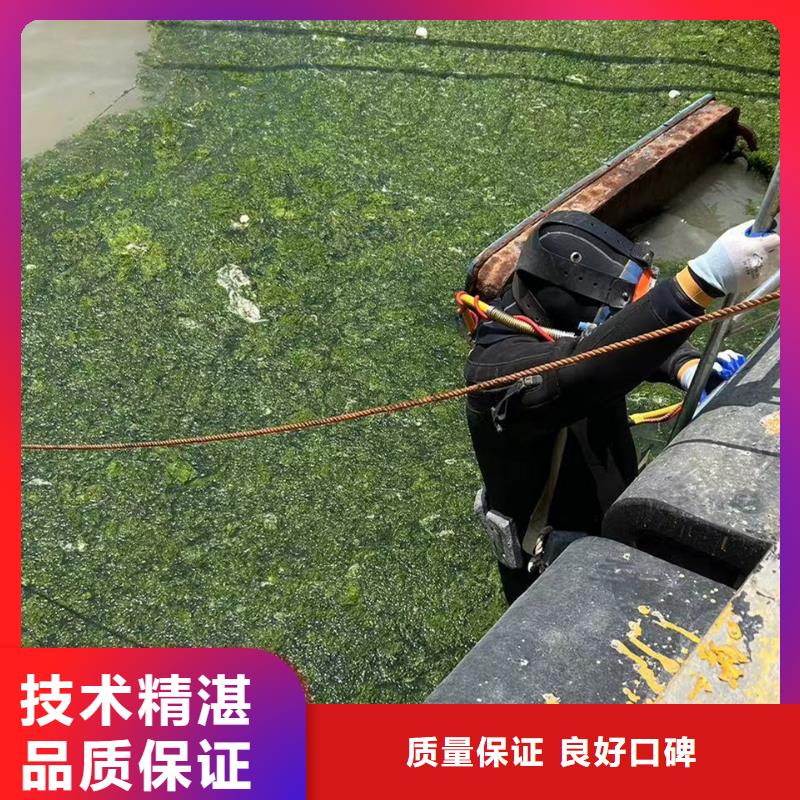 水下照相工期短实力雄厚