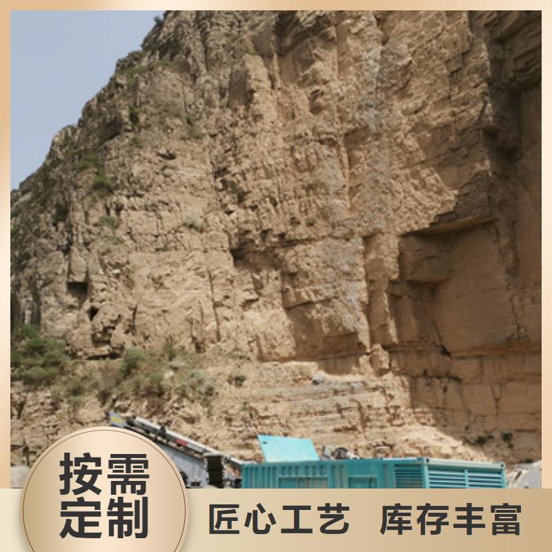UPS不间断电源出租正规厂家实体厂家支持定制