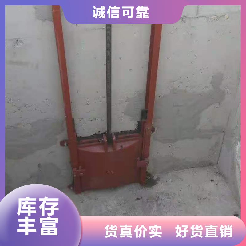 双向止水闸门工厂直销本地品牌