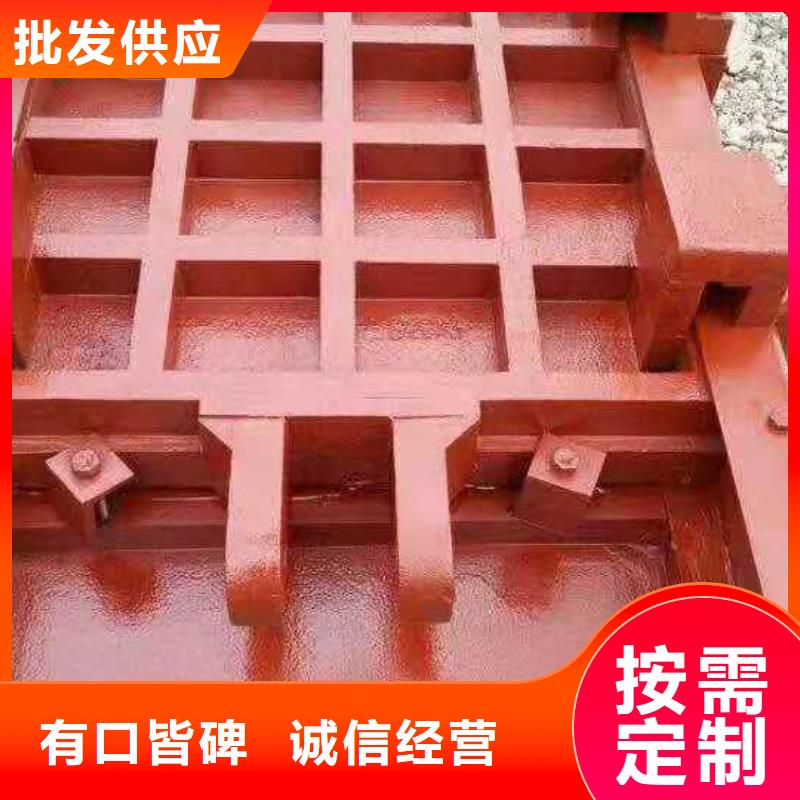 插板铸铁闸门生产厂家本地经销商