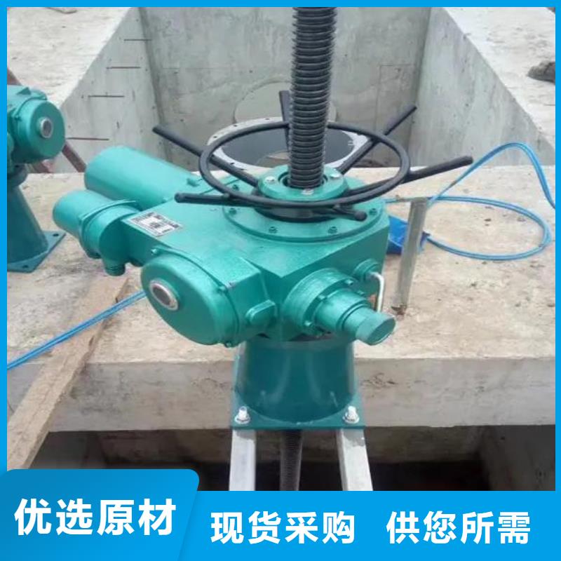 QL螺杆启闭机可定制当地公司