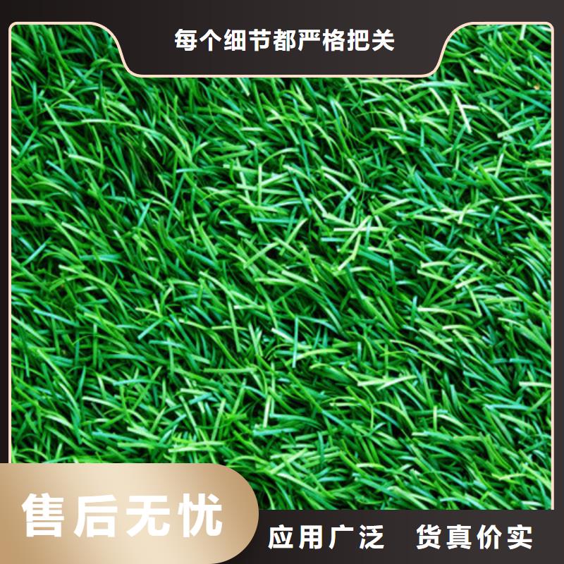 江苏灌南幼儿园仿真草坪出厂价格