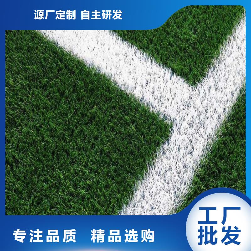 大丰绿草地人造草坪来图定制随到随提