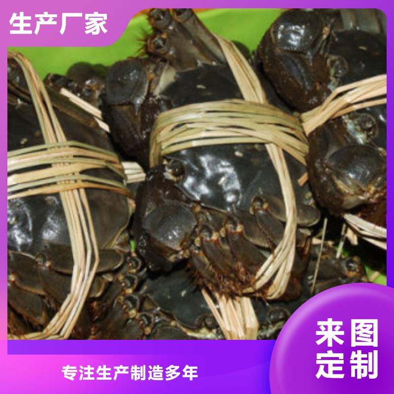 批发大闸蟹_生产厂家质量无忧