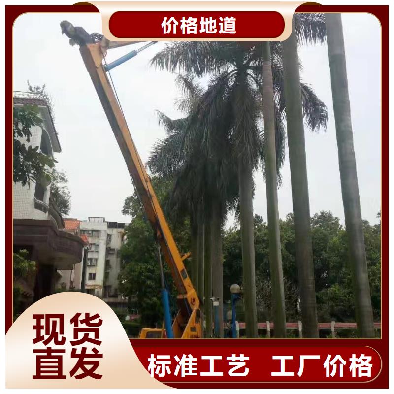 肇庆登高车承诺守信货源直供