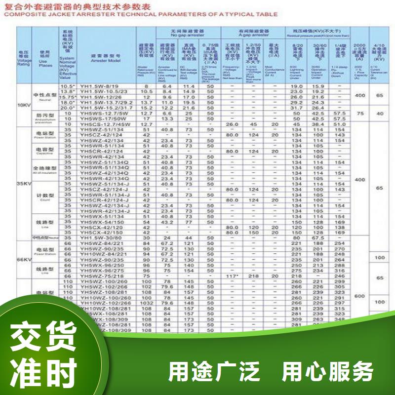 瓷外套金属氧化物避雷器Y10W-200/520【浙江羿振电气有限公司】