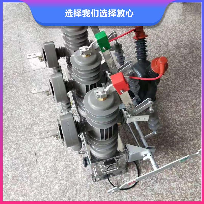 品牌【羿振电气】柱上断路器ZW32-12G/630-25KA本地生产厂家