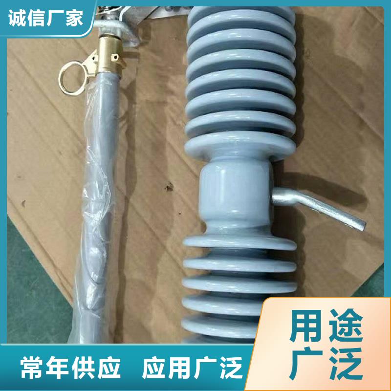 高压熔断器/RW10-12/100N年专注