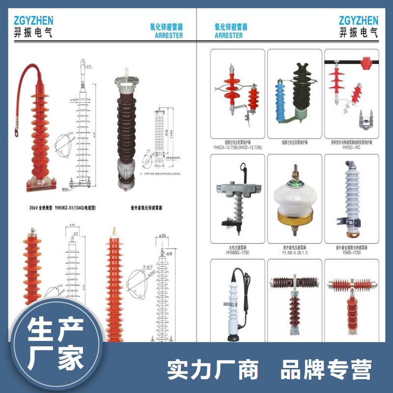【迪庆】避雷器Y10W-102/266