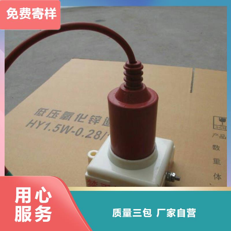 【过电压保护器/组合式避雷器】TBP-C-12.7/131