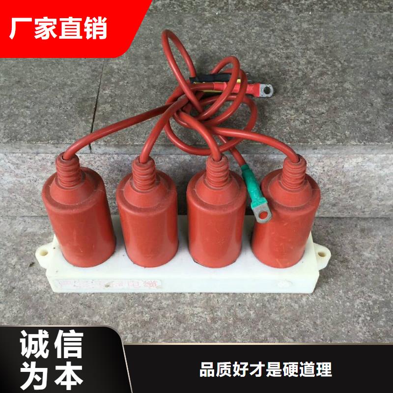 【连云港】〖过电压保护器〗HBP-B-42/W 现货供应