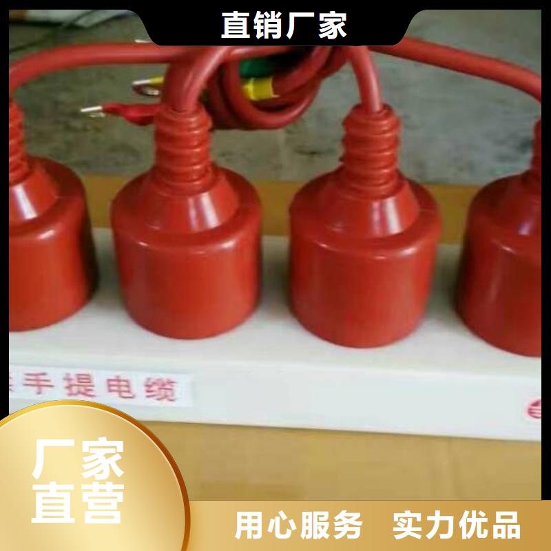 【过电压保护器/组合式避雷器】TBP-C-12.7/131