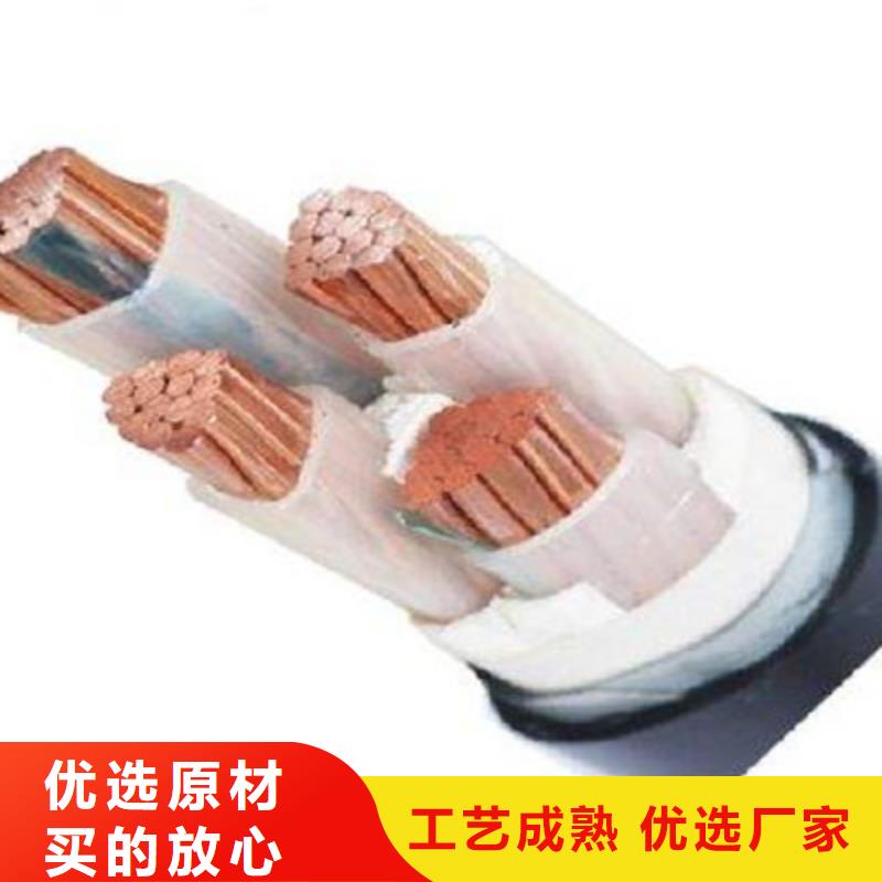 IA-ZA-KVV2X0.5本安阻燃控制电缆、IA-ZA-KVV2X0.5本安阻燃控制电缆厂家直销-库存充足为您提供一站式采购服务