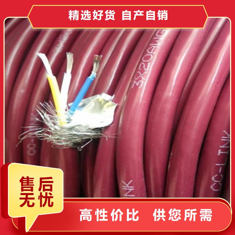 发货及时的djypvp22计算机电缆厂家厂家物美价优