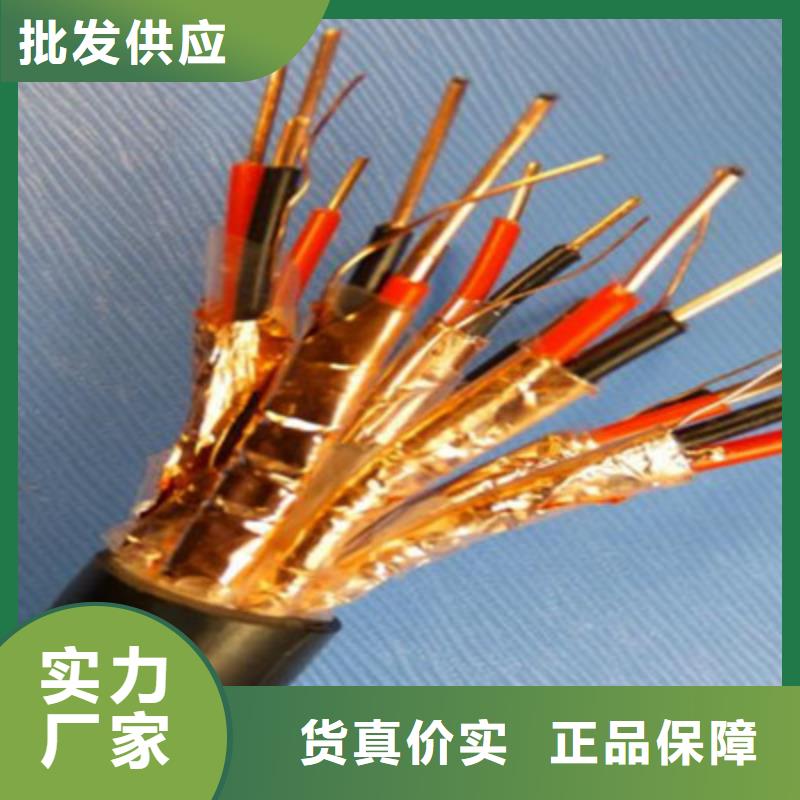 计算机电缆信号电缆用品质说话当地厂家