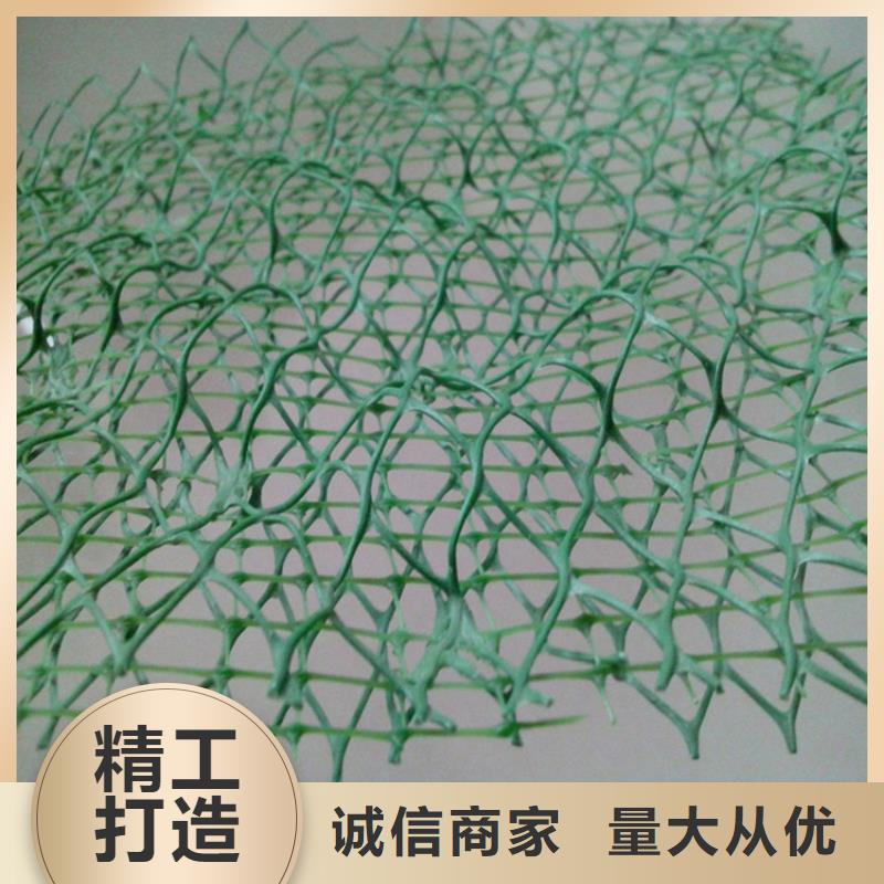 三维植被网防渗膜今日价格真正的源头厂家