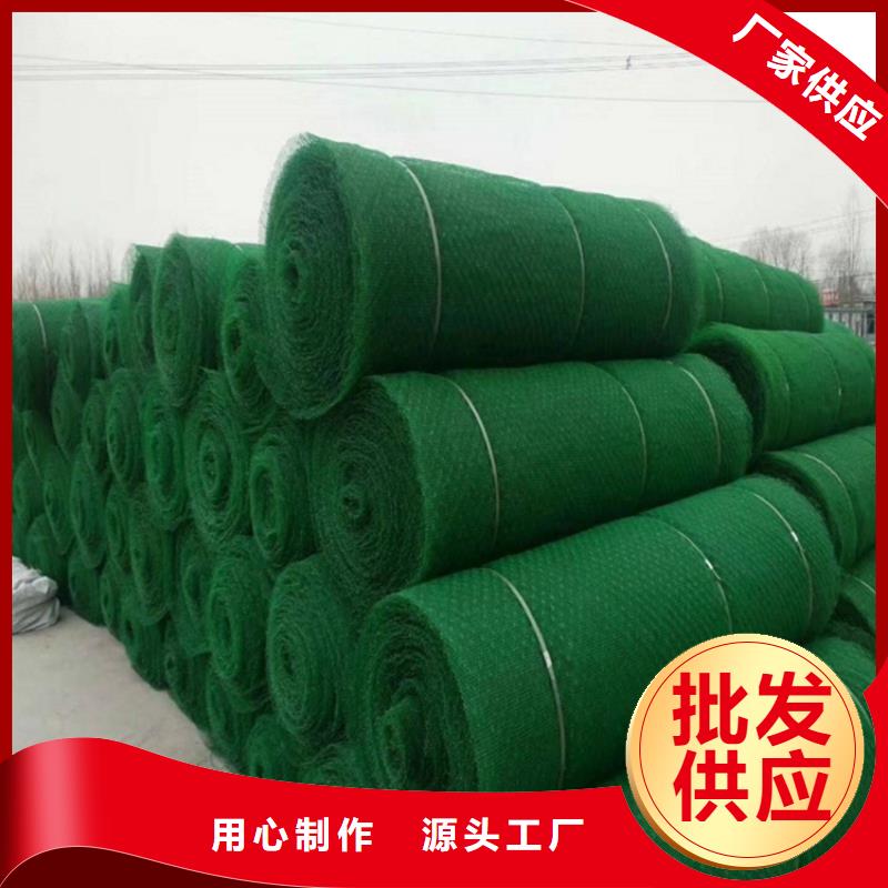 三维植被网防渗膜生产型来图加工定制