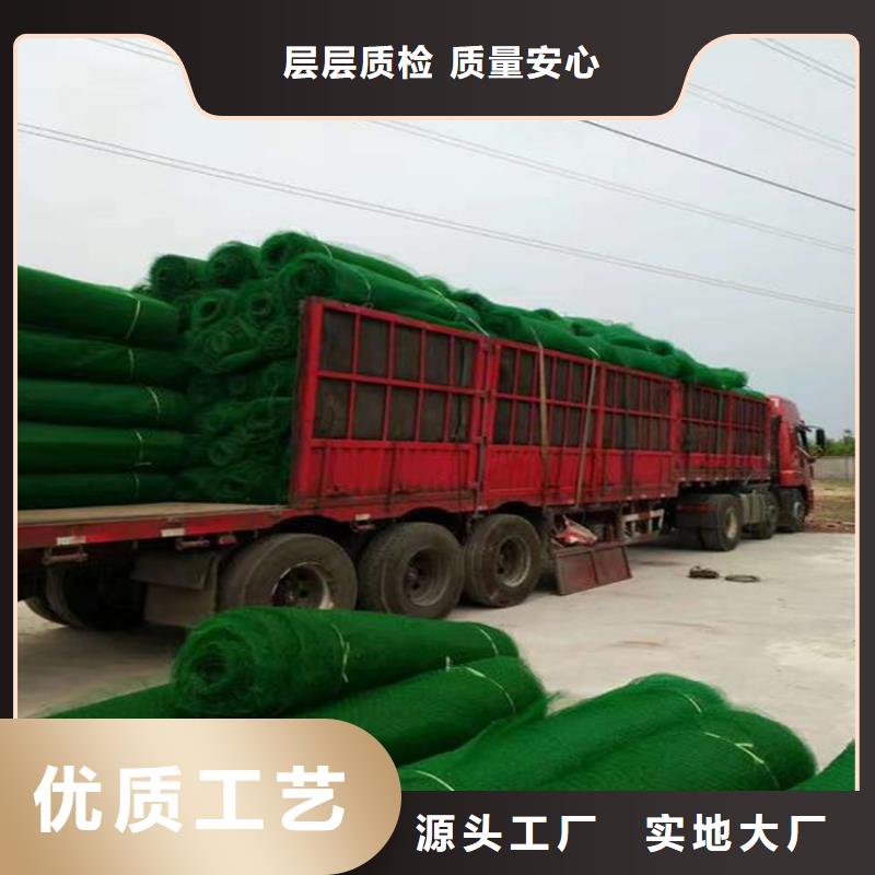 【三维植被网-土工席厂家实力雄厚】本地经销商