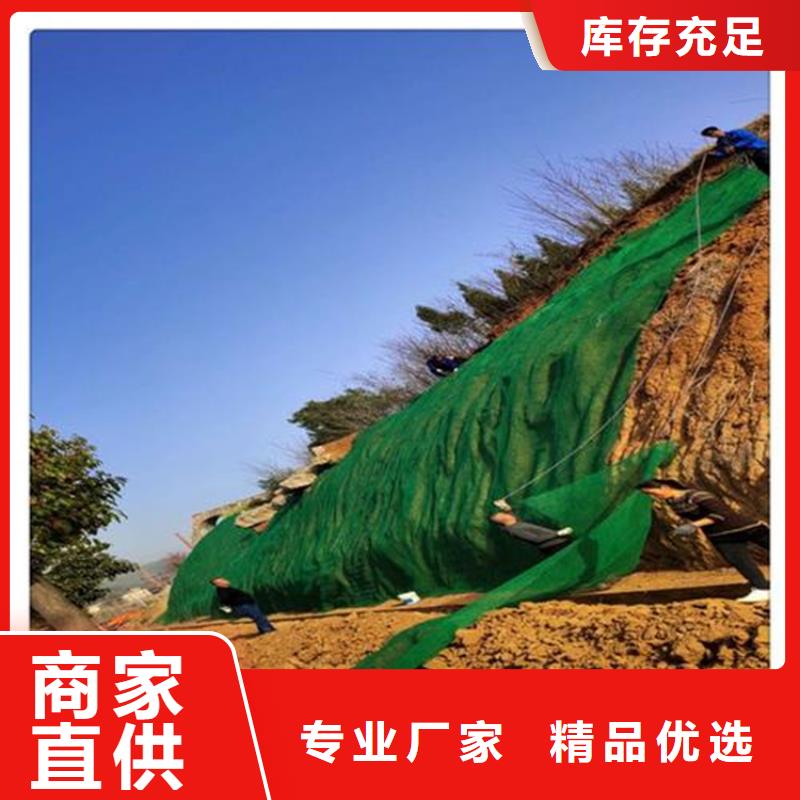 【三维植被网【塑料排水板】一站式供应】超产品在细节