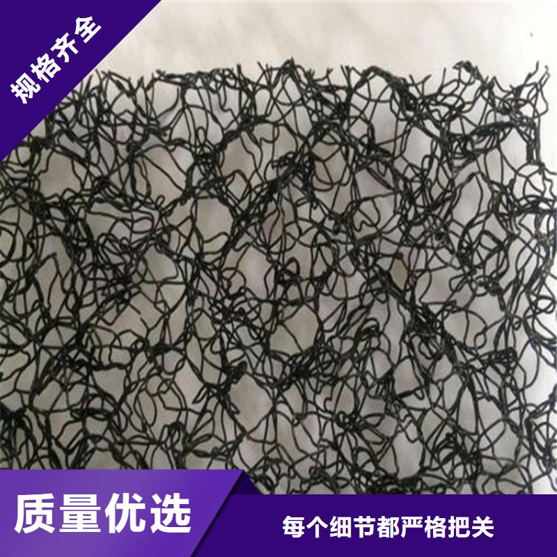 水土保护毯植草格现货齐全售后无忧当地生产厂家