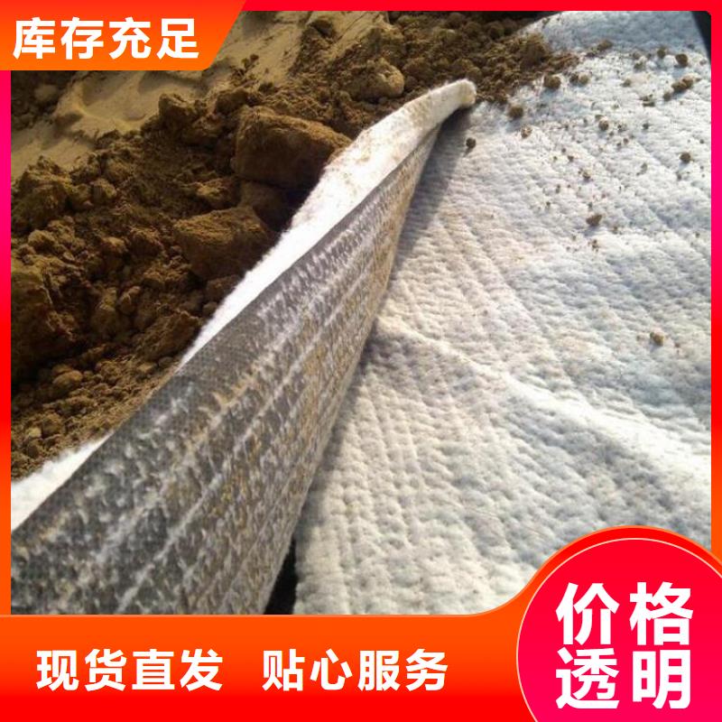 膨润土防水毯-土工膜快速发货制造厂家