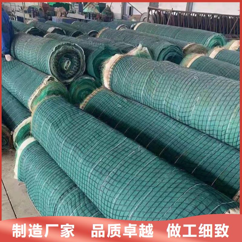 湖北植物纤维毯-PP加筋椰丝毯-椰丝草毯