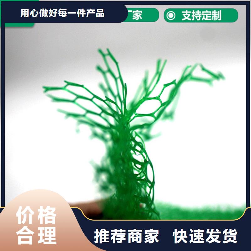 三维植被网,抗裂贴用心做好每一件产品极速发货