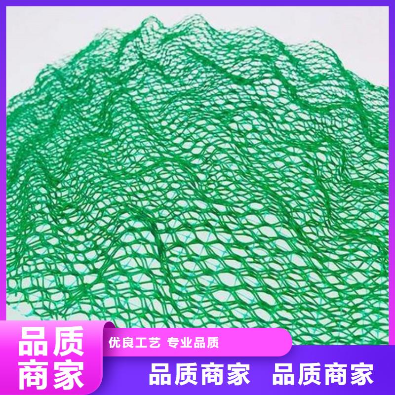 EM4三维护坡植草网垫欢迎订购优质货源