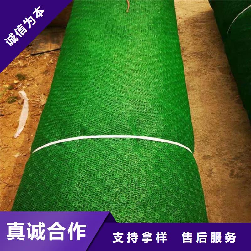 三维植被网土工膜品质可靠每个细节都严格把关
