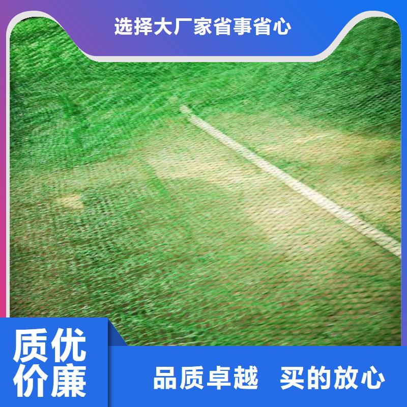 澳门三维护坡植草网垫公司-厂家代理