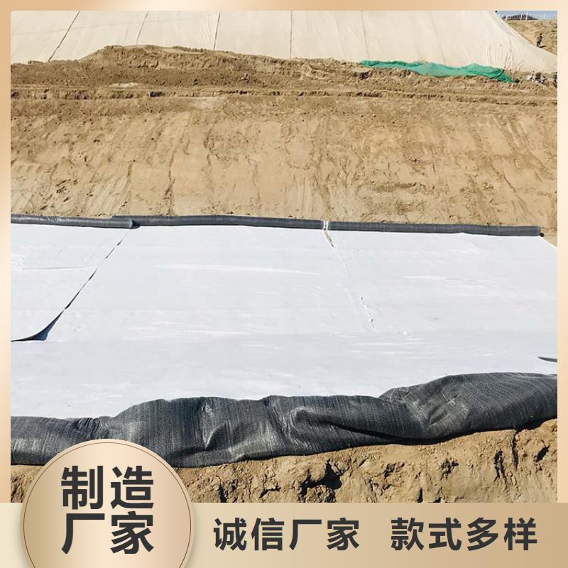 膨润土防水毯-【玻璃纤维土工格栅】省心又省钱细节展示
