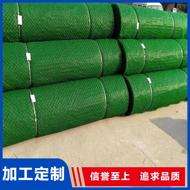 三维植被网_玻纤土工格栅老客户钟爱本地货源