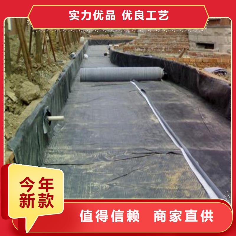 膨润土防水毯【玻璃纤维土工格栅】现货直供同城经销商