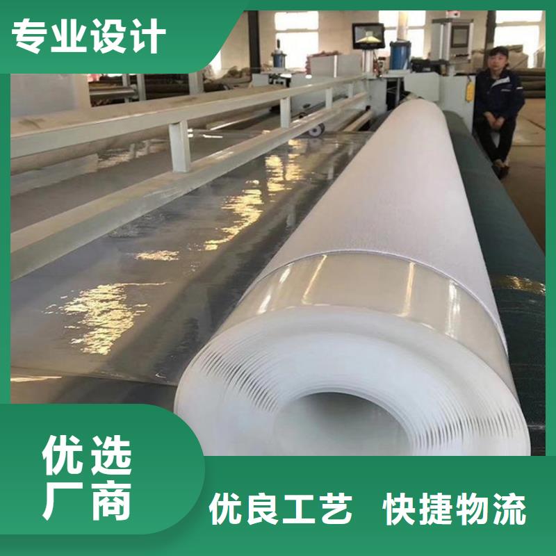 防水板玻璃纤维土工格栅多种规格供您选择厂家直销大量现货