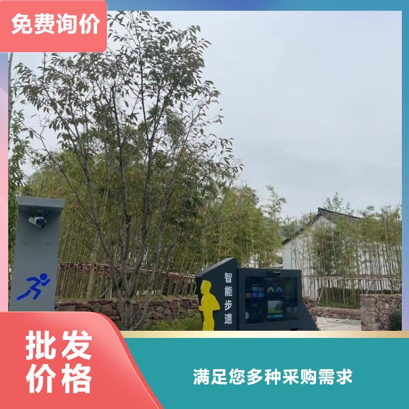 虚拟骑行单车公司（维艾狄尔）货源直供