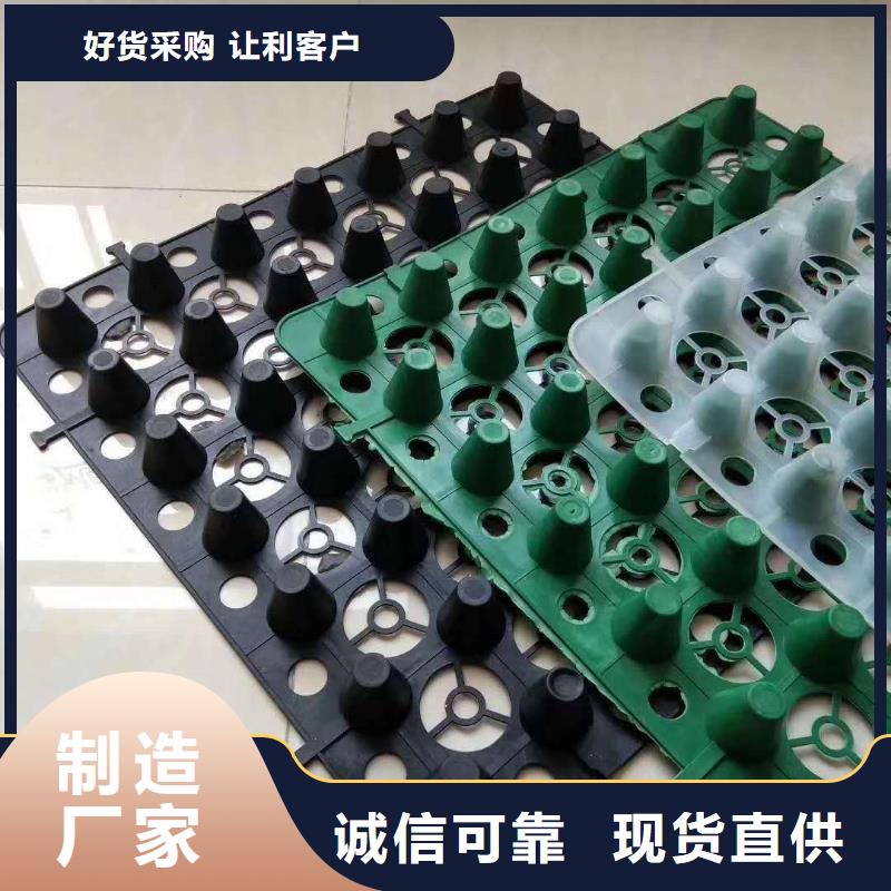 通辽凹凸排水板——价格资讯