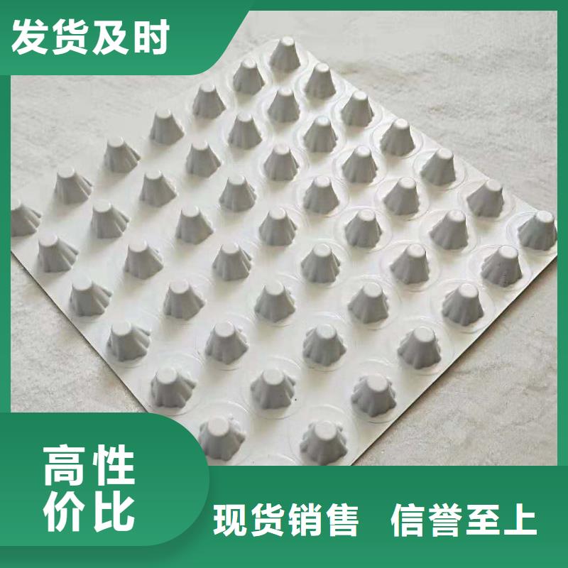 凹凸型塑料排蓄水板-新型产品量大更优惠