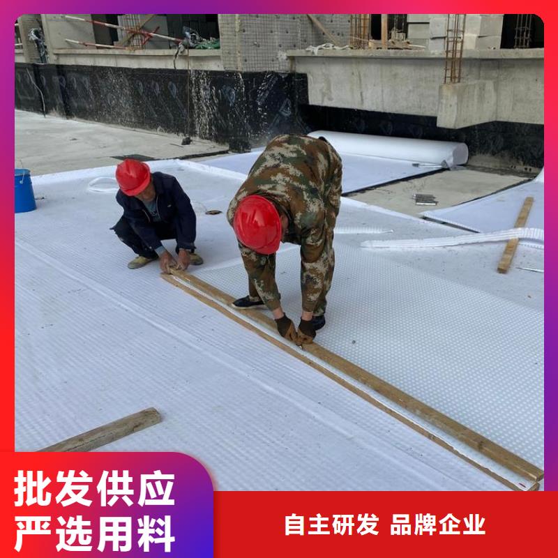 排水板蓄水板详细参数同城品牌