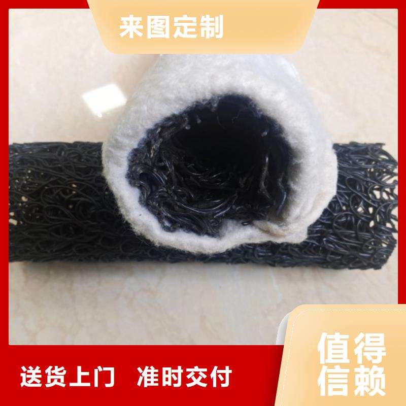 塑料盲沟三维植被网售后服务完善诚信厂家