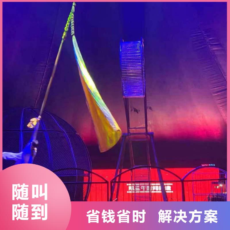 哪有出租鳄鱼表演的活动方案服务热情