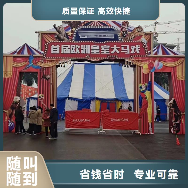 羊驼出租联系方式价格低于同行